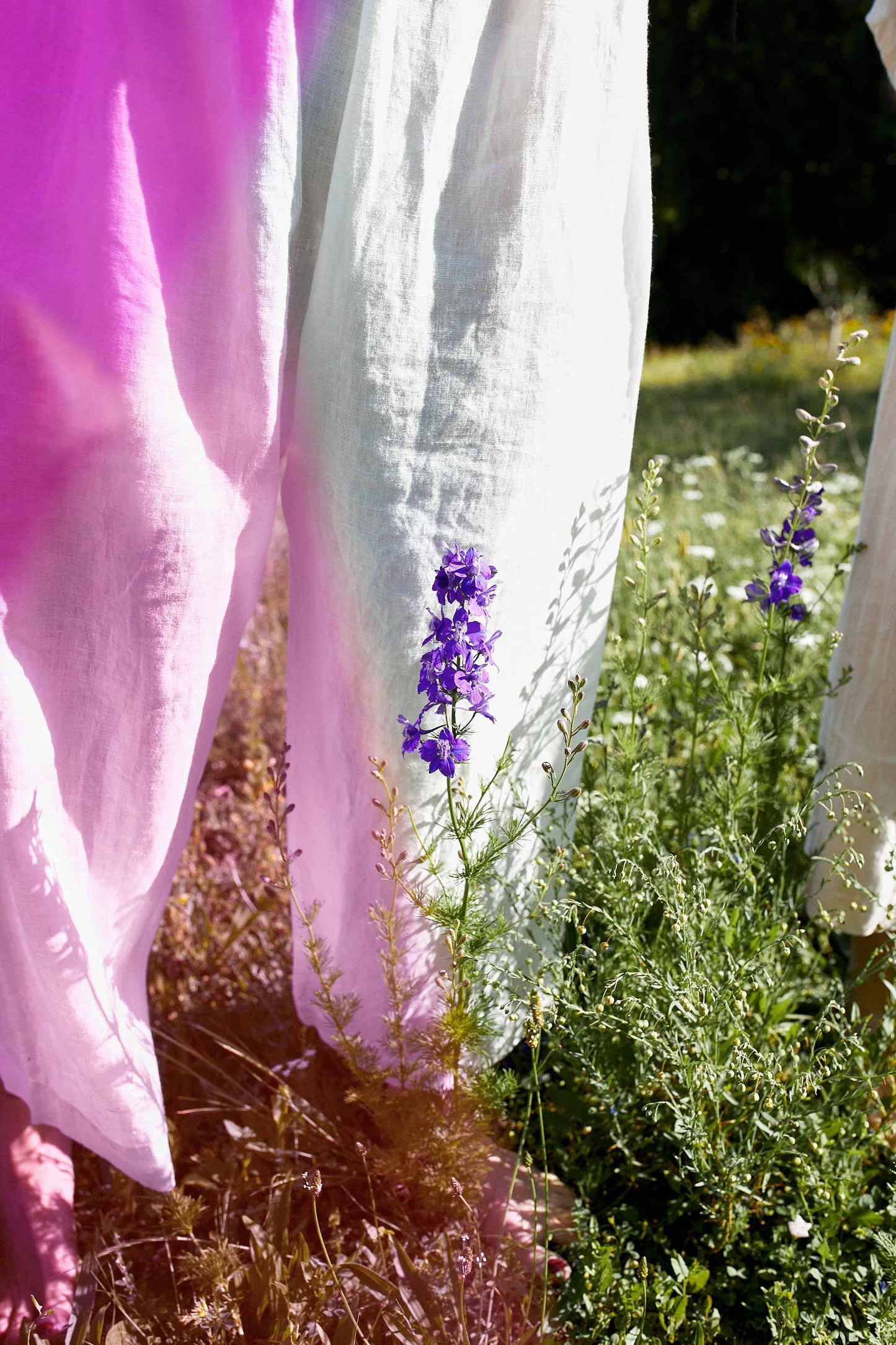 SÏRIUS PANTS - Tsenoh